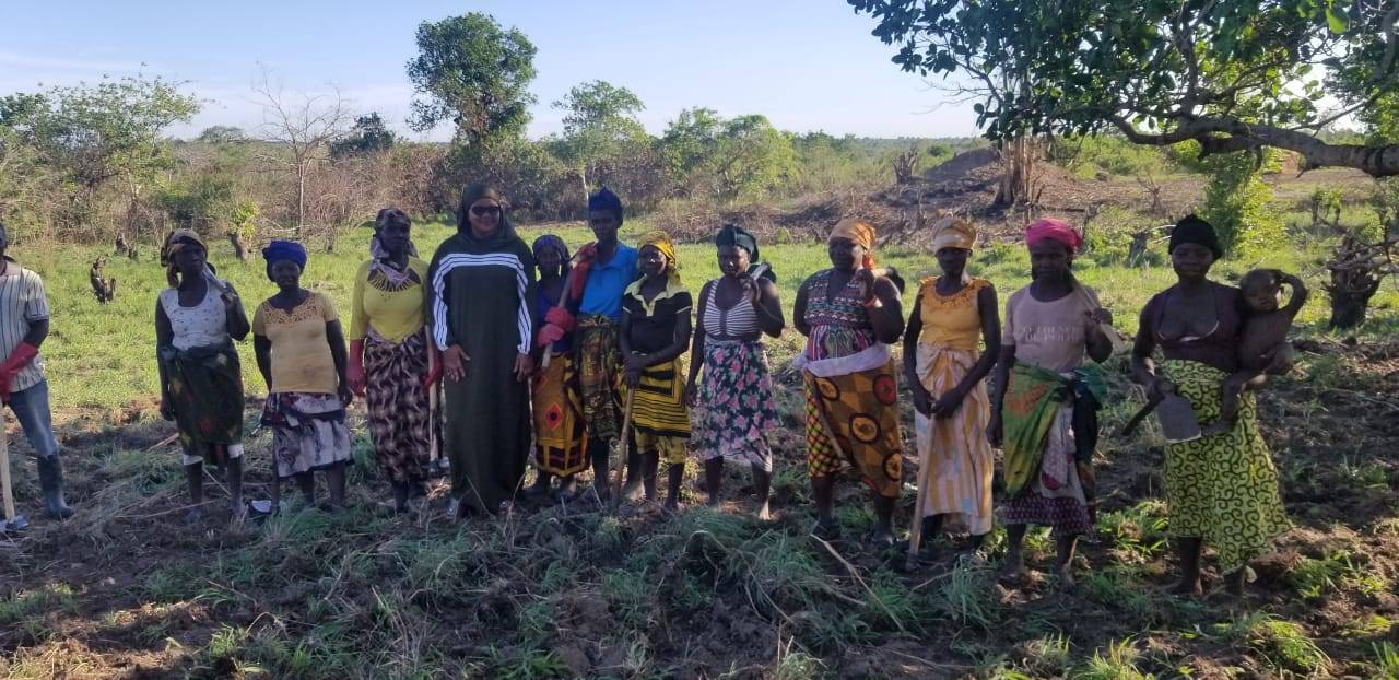 PRESIDENTE DA SOLDMOZ AFERE EXECUÇÃO DOS PLANOS EM MEMBA